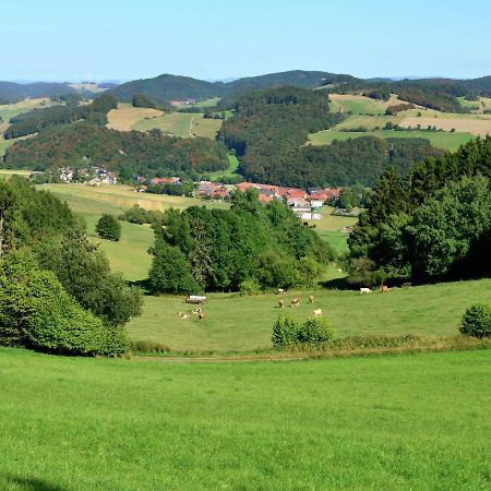 Holiday In The Sauerland Region In Unique Location Виллинген Экстерьер фото